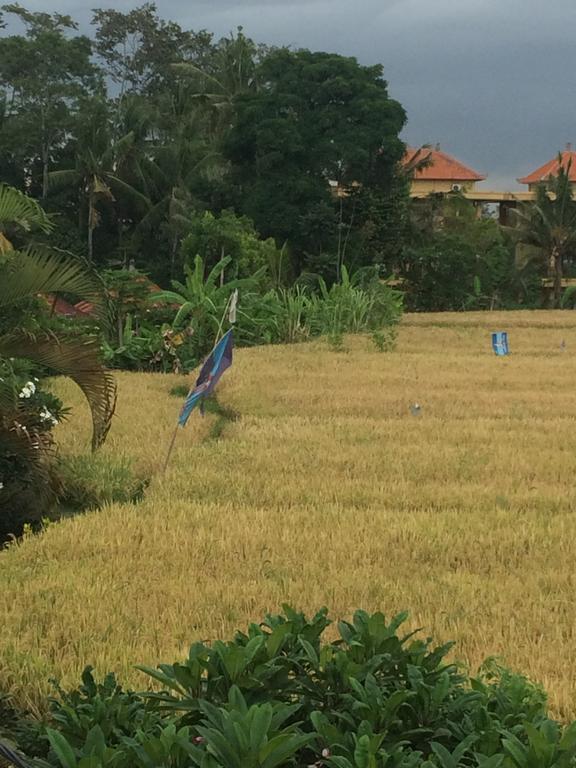 Pangkung House Apartment อูบุด ภายนอก รูปภาพ